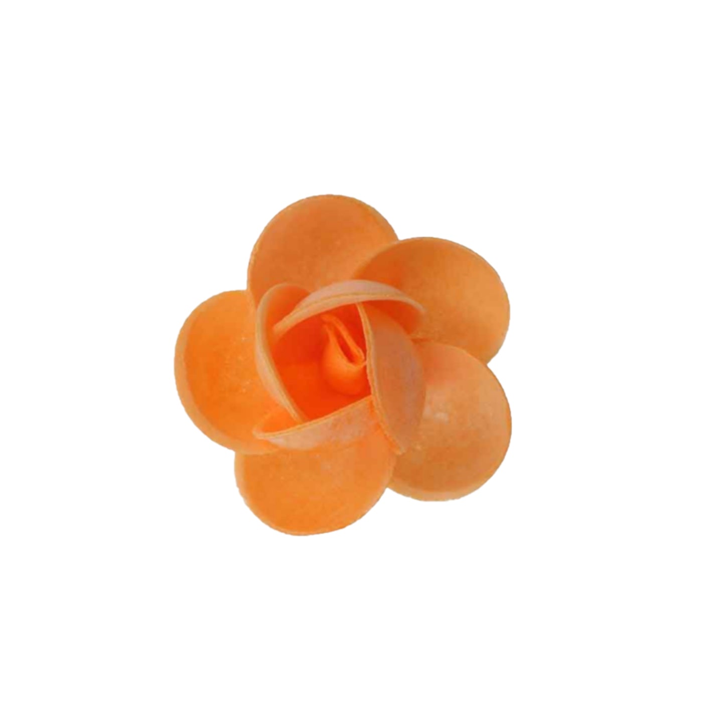 Rosa grande