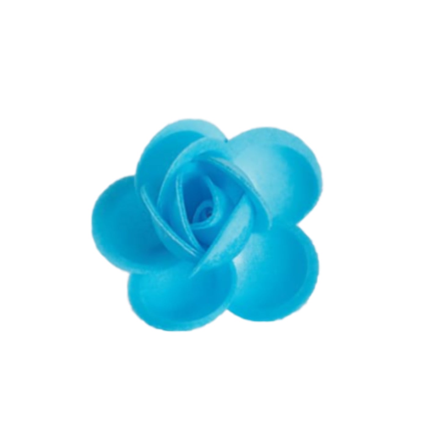 Rosa grande