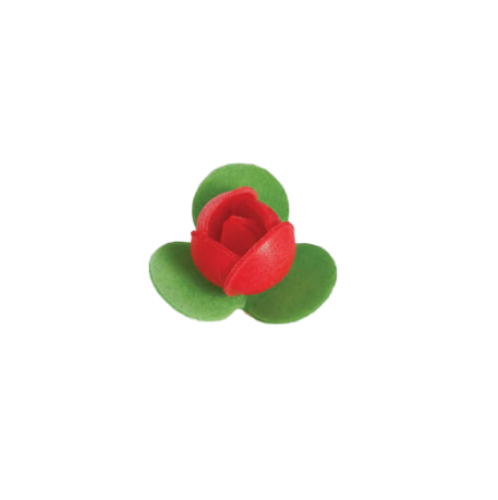 Rosa 3 foglie