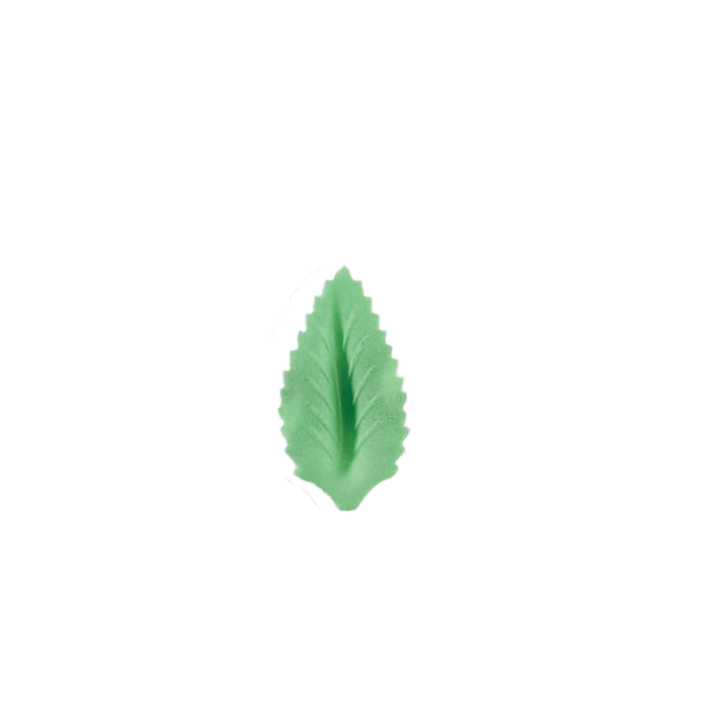 Foglie verdi