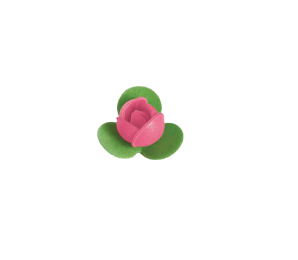 Rosa 3 foglie