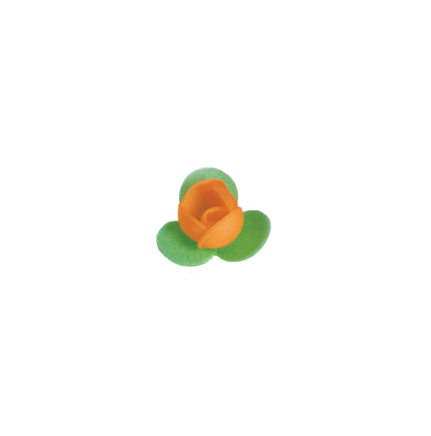 Rosa 3 foglie
